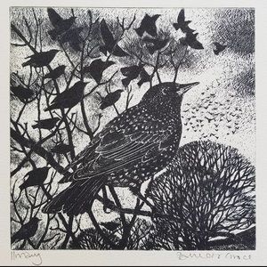 Meet your Posher, Jaron